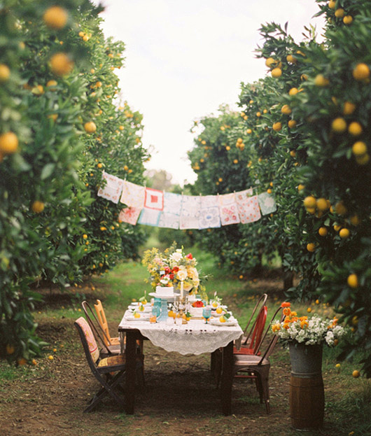 orange-grove-wedding